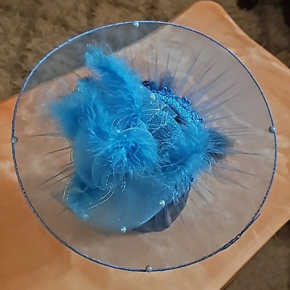 Fascinator - Picture 1 of 3